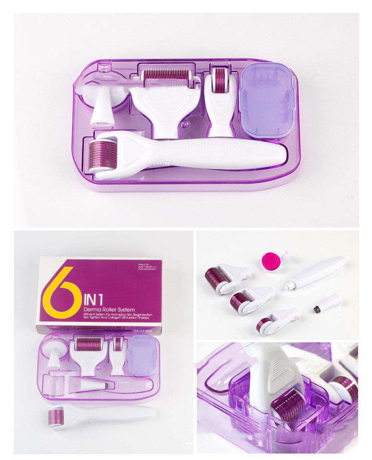 DermaKit 6-in-1 Derma Roller Kit Facial Microneedling Set