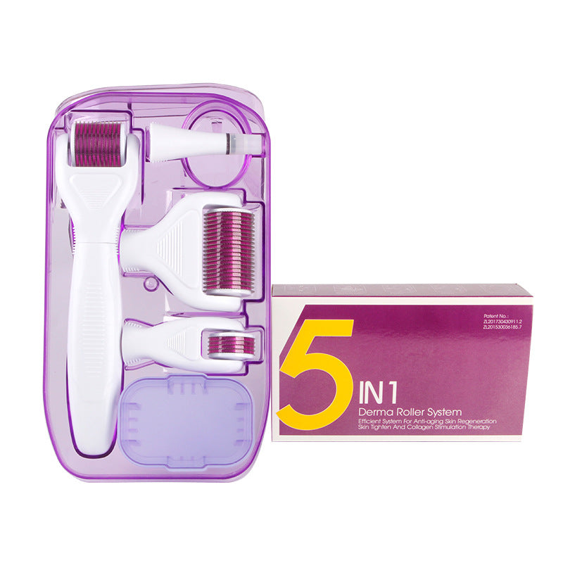 DermaKit 6-in-1 Derma Roller Kit Facial Microneedling Set