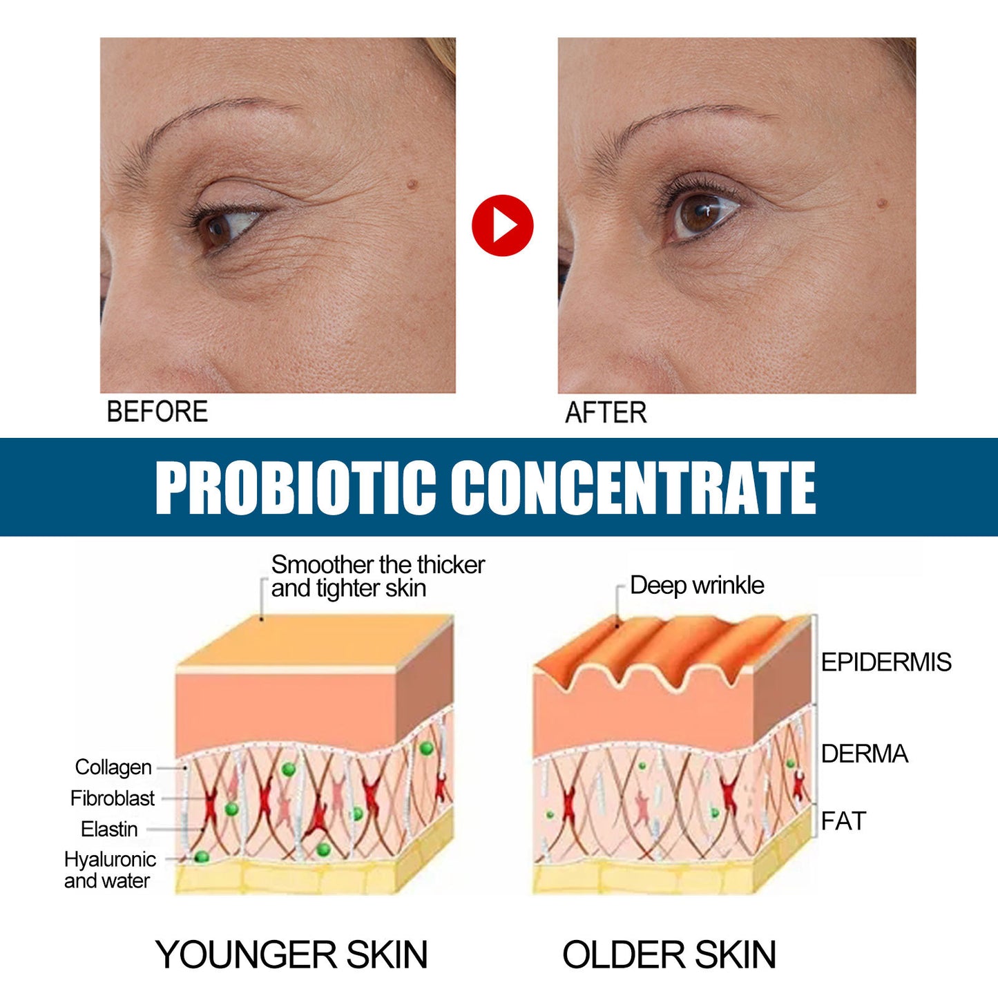 Probiotic Anti-Wrinkle Serum Firm & Hydrated Skin