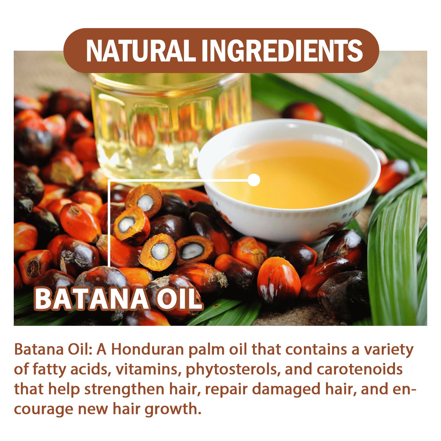 Batana Oil Hair Conditioner — Deep Nourishment & Repair