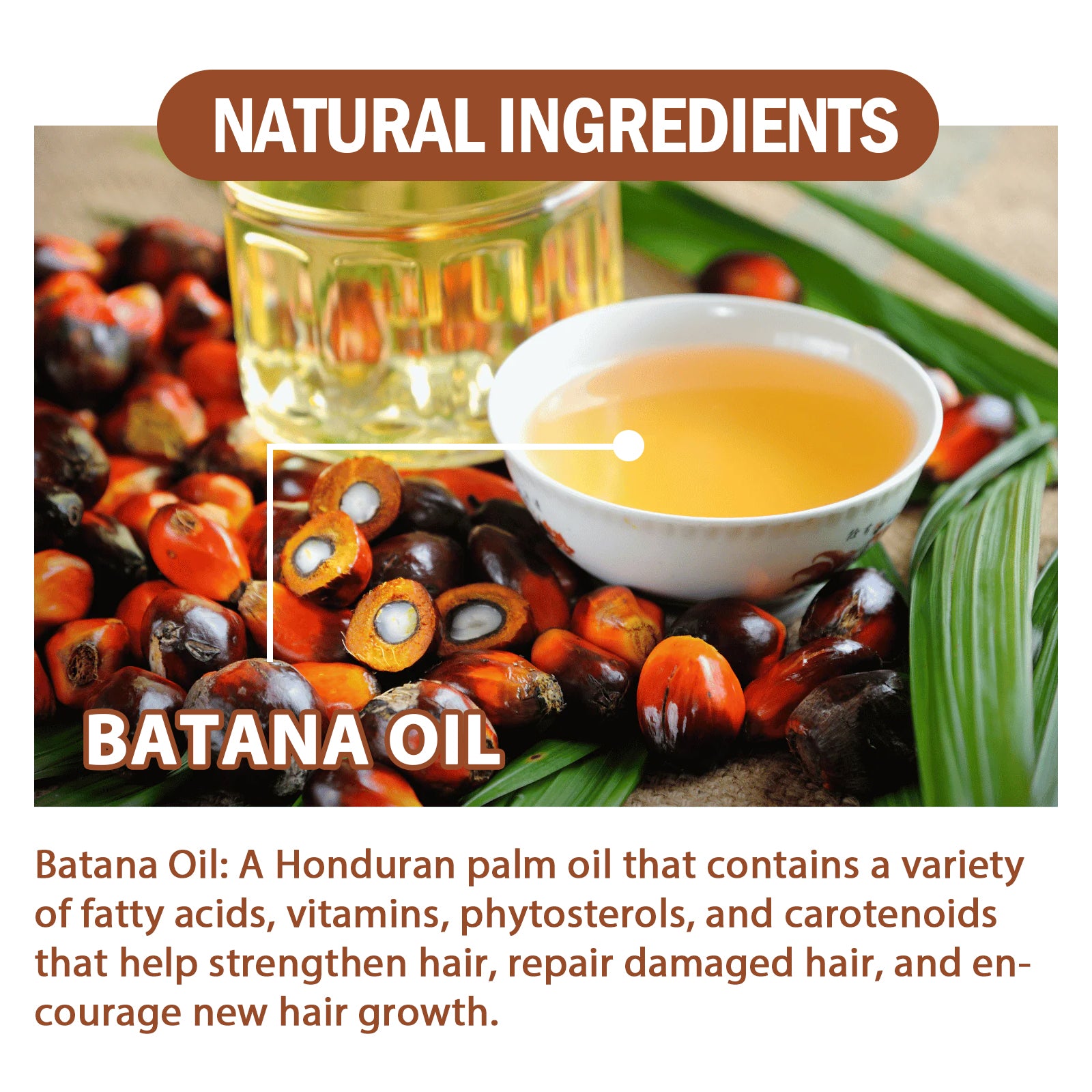 Batana Oil Hair Conditioner — Deep Nourishment & Repair